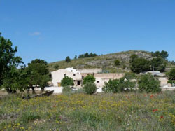 HOSPEDERA RURAL THE OLIVE TREE (JUMILLA)