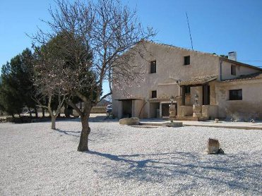 HOSPEDERA RURAL THE OLIVE TREE (JUMILLA)