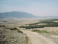 CASA REINA. CAMPO DE ARRIBA