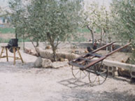 CASA REINA. CAMPO DE ARRIBA