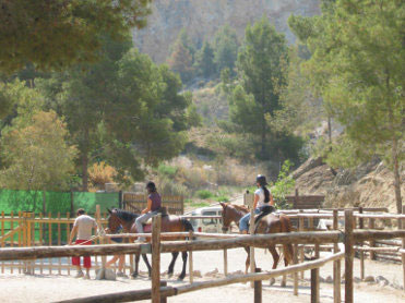 EL VALLE CENTRO ECUESTRE DE EDUCACIN AMBIENTAL (LA ALBERCA - MURCIA)