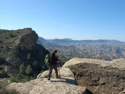 ECOAMBIENTAL PROYECTOS Y SERVICIOS (MURCIA