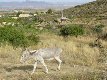 CASA LENTISCO