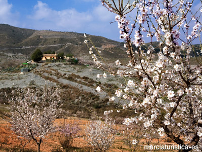 CORTIJO LA SOLANA