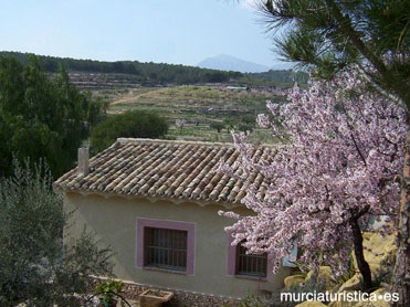 EL MIRADOR DE GEBAS. CASA 1