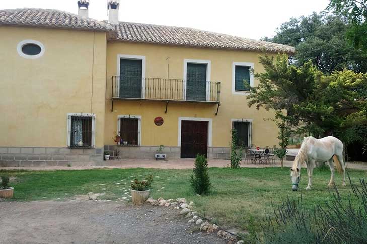 CASAS FINCA DE LAS NIEVES 1