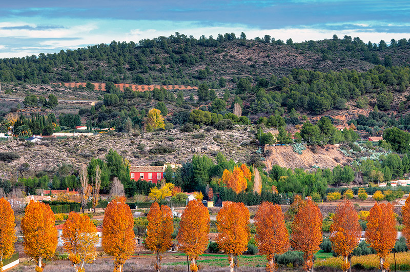 CASAS CAADA LENTISCO. CASA MARA