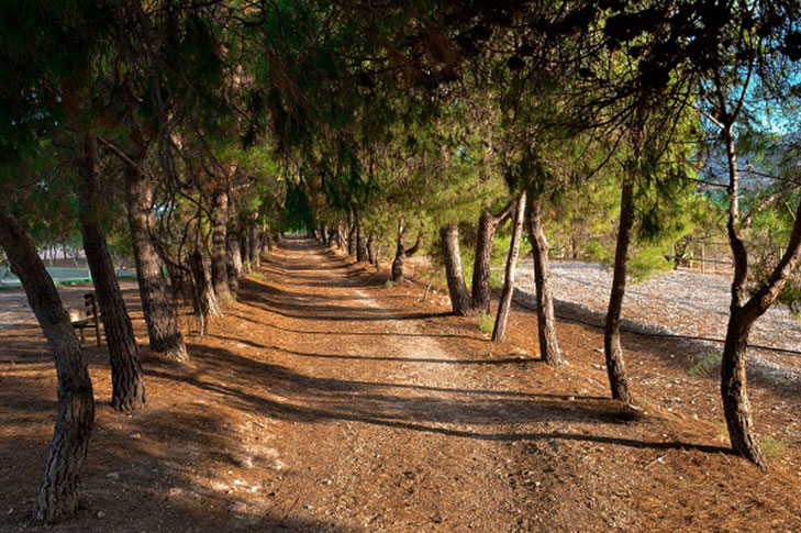 CORTIJO DE ROJAS. CASA PRINCIPAL