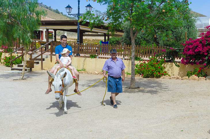 FINCA LIARTE. CASA LA TINAJA