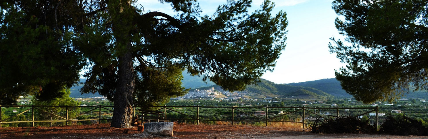 CORTIJO DE ROJAS. CASA EL MULERO