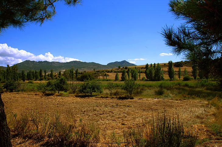 CASA PERNIAS