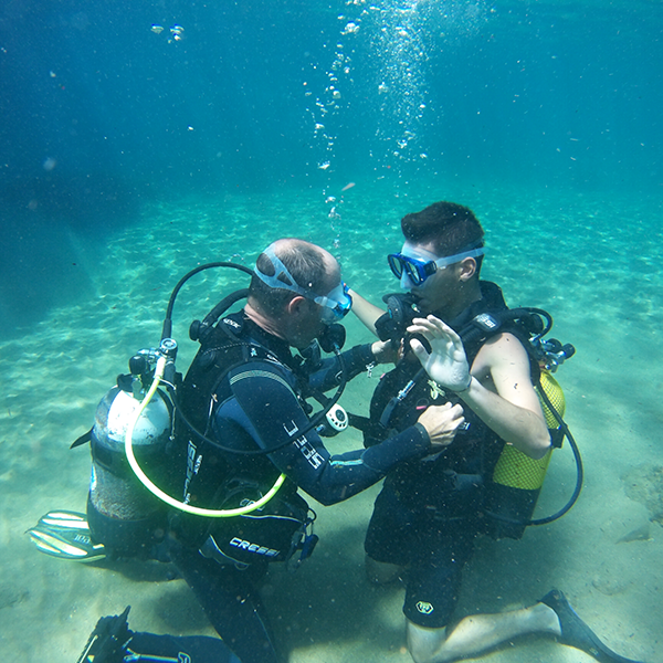 CENTRO DE BUCEO DEL SURESTE-BACHISUB