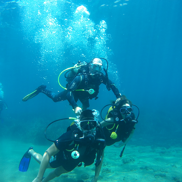 CENTRO DE BUCEO DEL SURESTE-BACHISUB