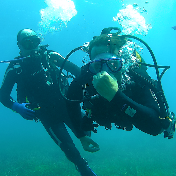 CENTRO DE BUCEO DEL SURESTE-BACHISUB