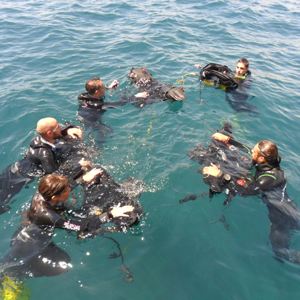 CENTRO DE BUCEO DEL SURESTE-BACHISUB