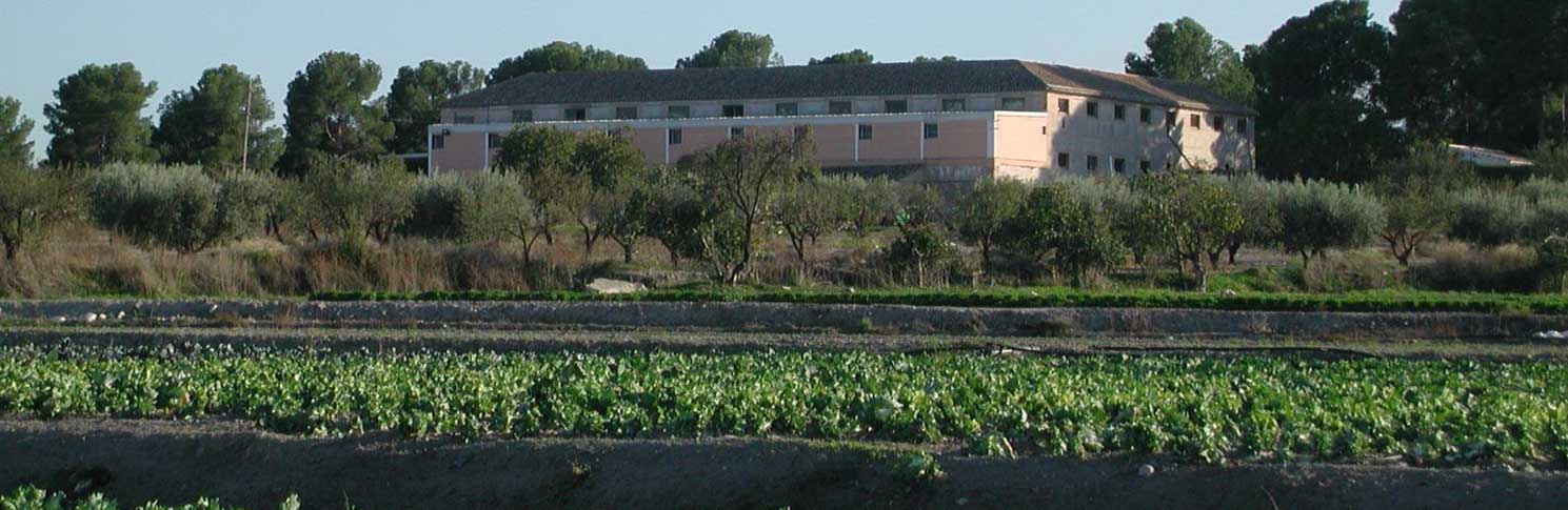 BODEGA TERCIA DE ULEA