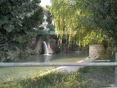 AGUA VIVA