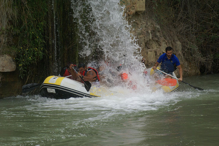 AGUA VIVA