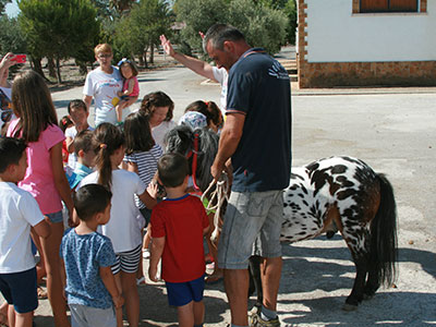 YEGUADA LA PEA DE BEJAR