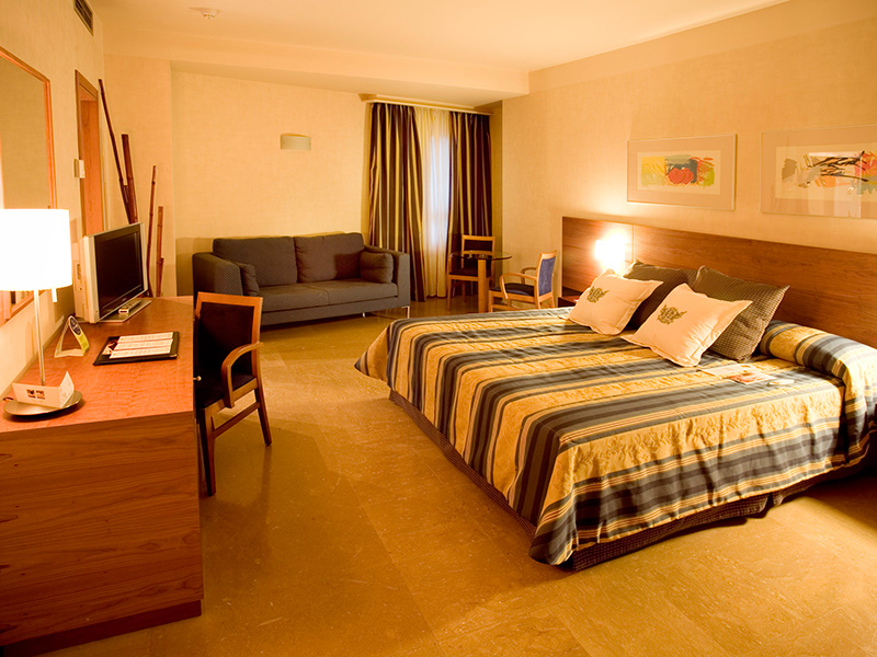 HOTEL PALACIO DE TUDEMIR