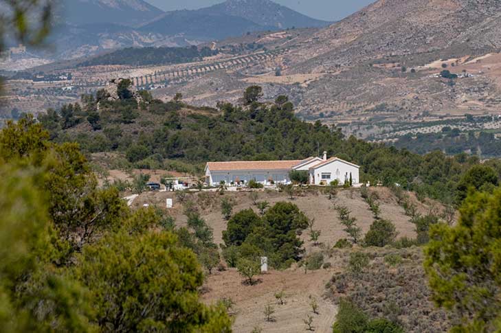 CASA LAMBERDINA