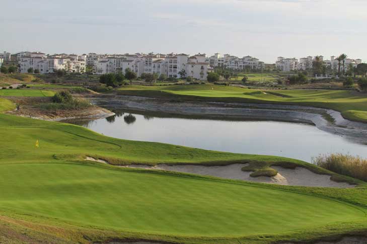 MAYTE HACIENDA RIQUELME