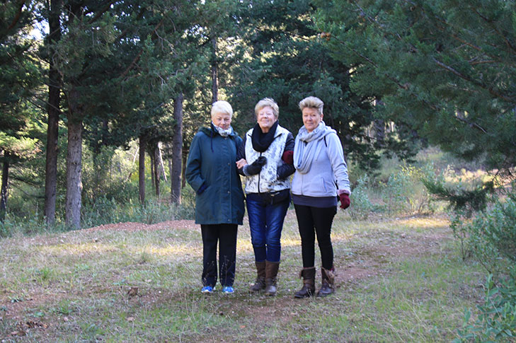 TERAPIA FORESTAL