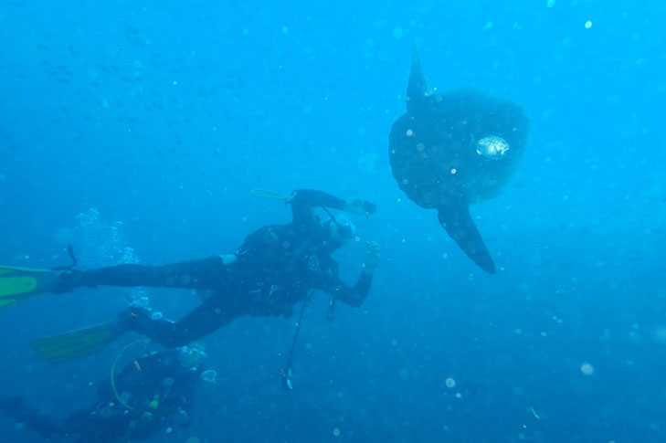 CENTRO DE BUCEO AMIGOS DEL AZUL