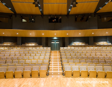 AUDITORIO Y CENTRO DE CONGRESOS VCTOR VILLEGAS