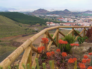 VISTAS