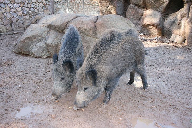 REA DE EDUCACIN AMBIENTAL DEL CENTRO DE RECUPERACIN DE FAUNA EL VALLE