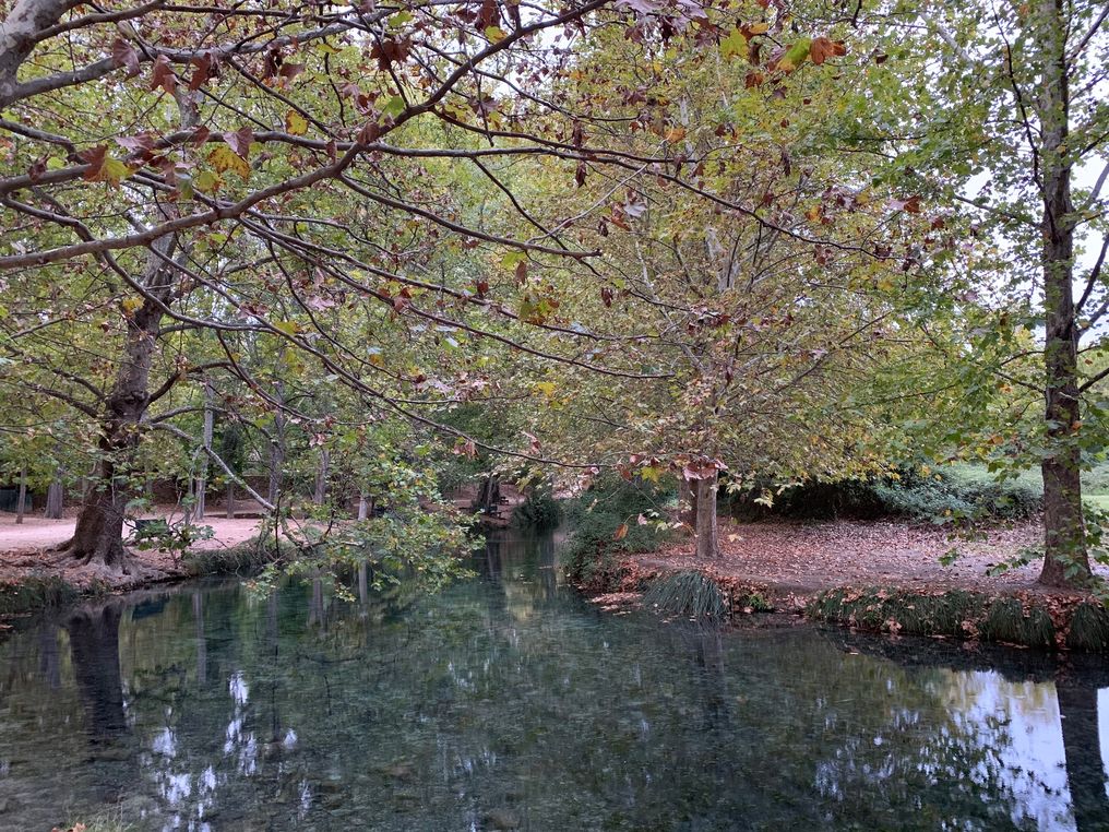 CENTRO DE INTERPRETACIN DE LA NATURALEZA FUENTES DEL MARQUS