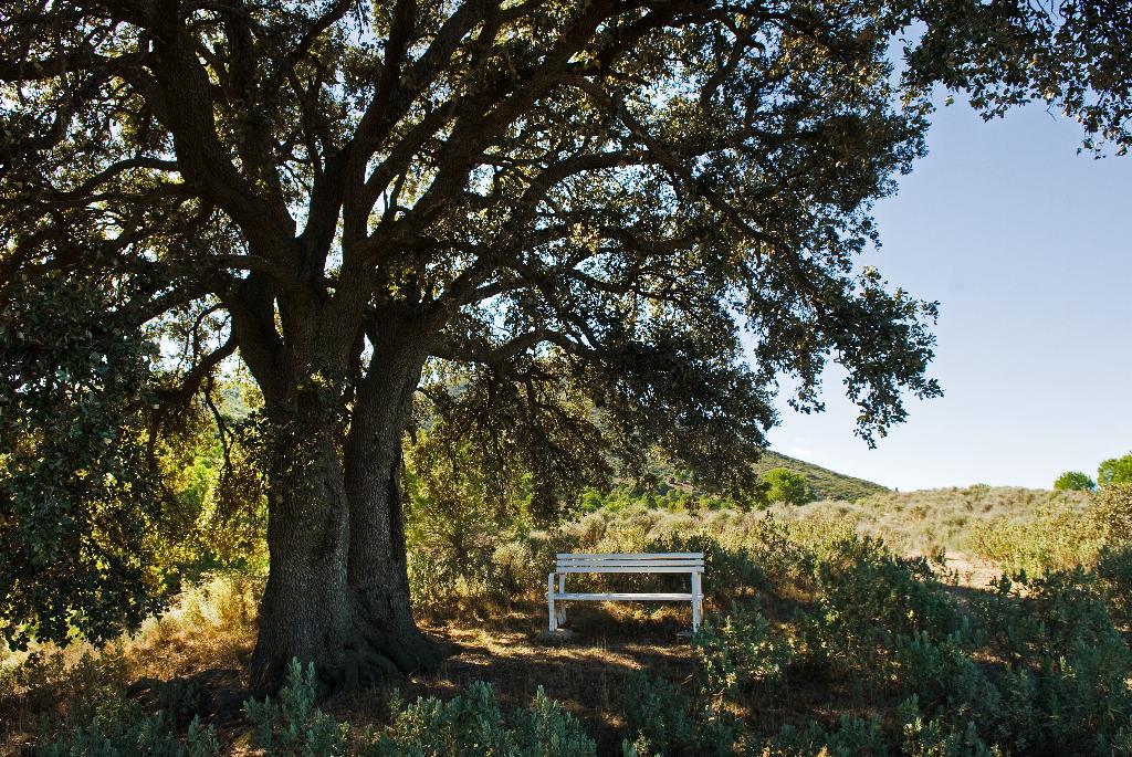 CENTRO DE INTERPRETACIN DE LA NATURALEZA