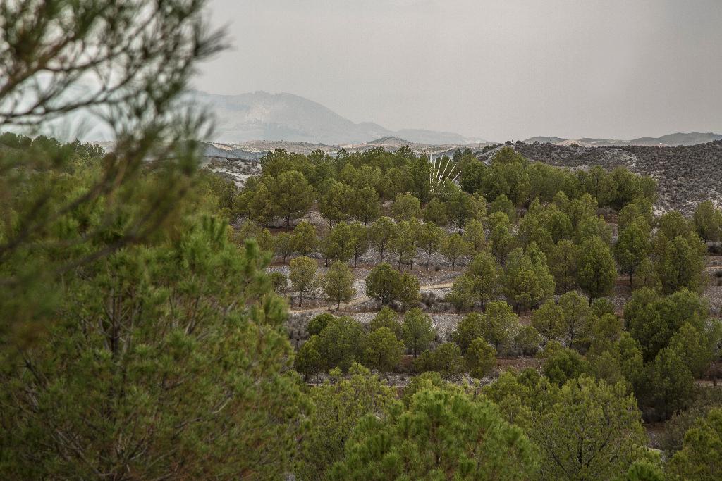 CENTRO DE INTERPRETACIN DE LA NATURALEZA