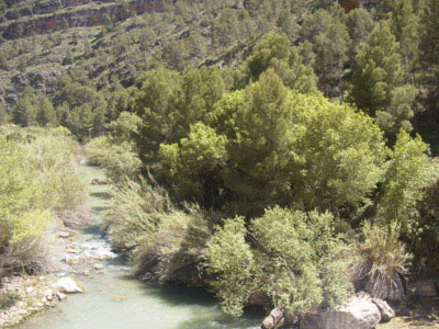 VISTA DESDE LA PRESA DE LA MULATA