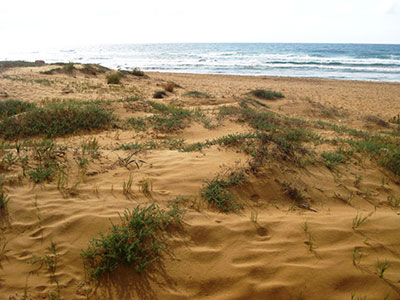 CALBLANQUE, MONTE DE LAS CENIZAS Y PEA DEL GUILA