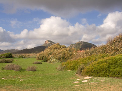 CALBLANQUE, MONTE DE LAS CENIZAS Y PEA DEL GUILA