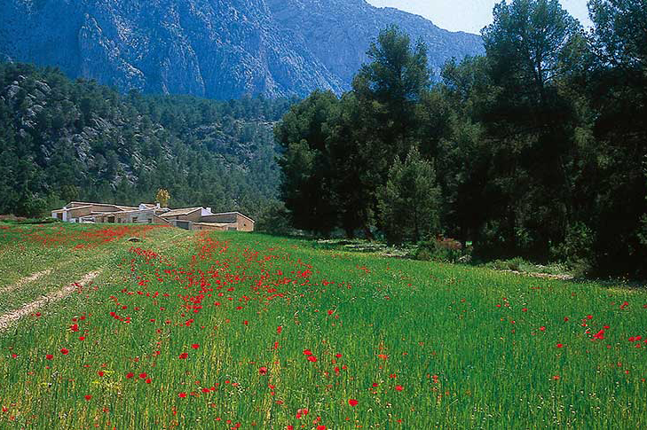 SIERRA ESPUA