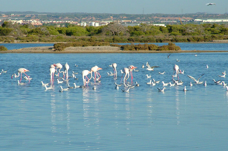 ARENALES Y SALINAS DE SAN PEDRO