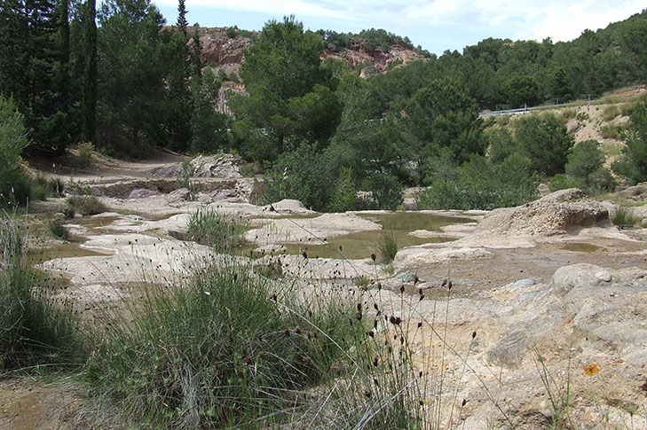 CARRASCOY Y EL VALLE