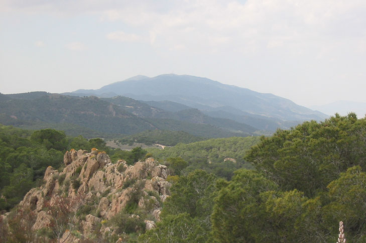 CARRASCOY Y EL VALLE