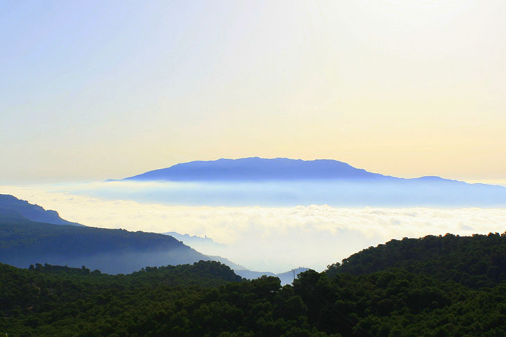 CARRASCOY Y EL VALLE