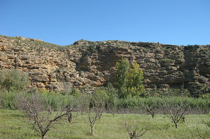 SOTOS Y BOSQUES DE RIBERA DE CAAVEROSA