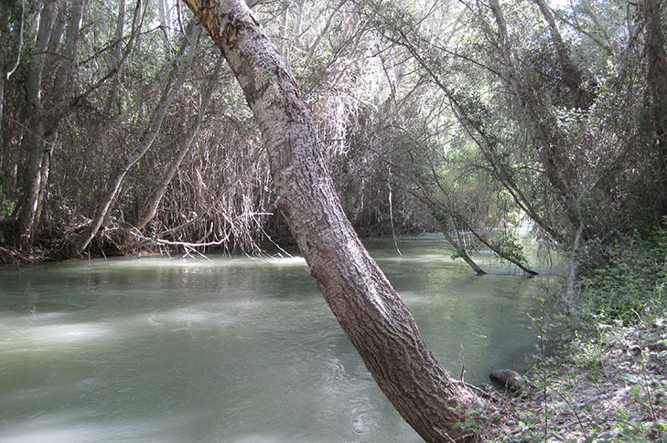 SOTOS Y BOSQUES DE RIBERA DE CAAVEROSA