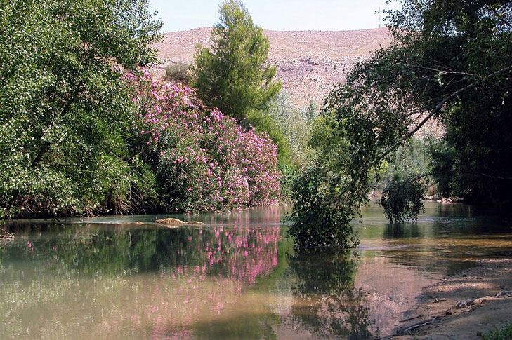 SOTOS Y BOSQUES DE RIBERA DE CAAVEROSA