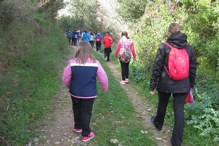 SOTOS Y BOSQUES DE RIBERA DE CAAVEROSA