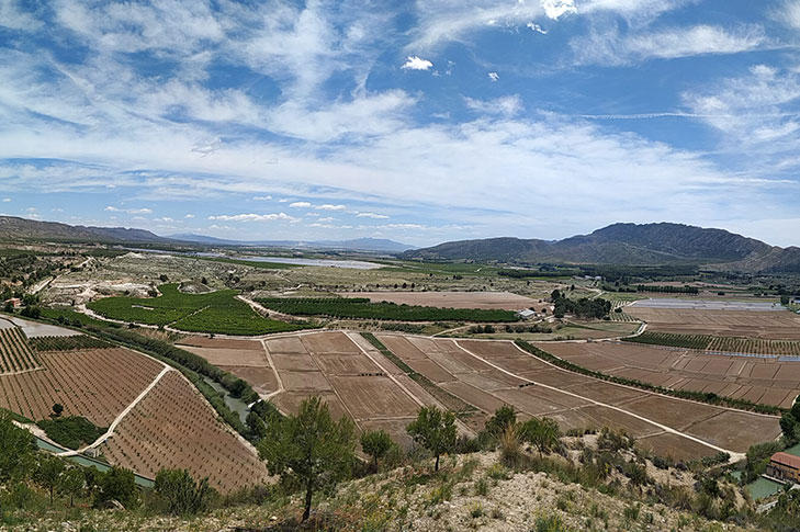 SOTOS Y BOSQUES DE RIBERA DE CAAVEROSA