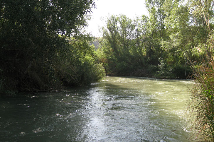 SOTOS Y BOSQUES DE RIBERA DE CAAVEROSA