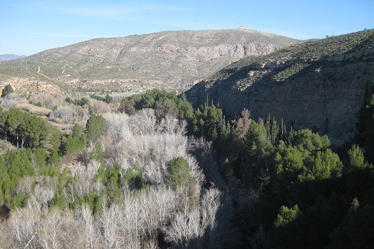 SOTOS Y BOSQUES DE RIBERA DE CAAVEROSA