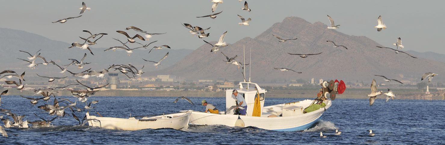 ESPACIOS ABIERTOS E ISLAS DEL MAR MENOR